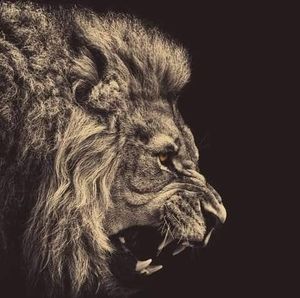 Meet your Posher, Herman